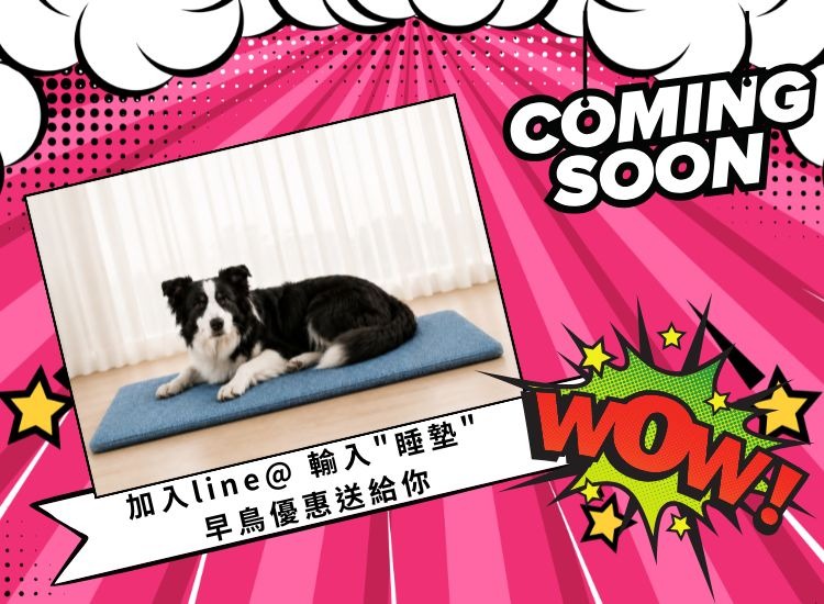 加入line@ 早鳥優惠送給你
